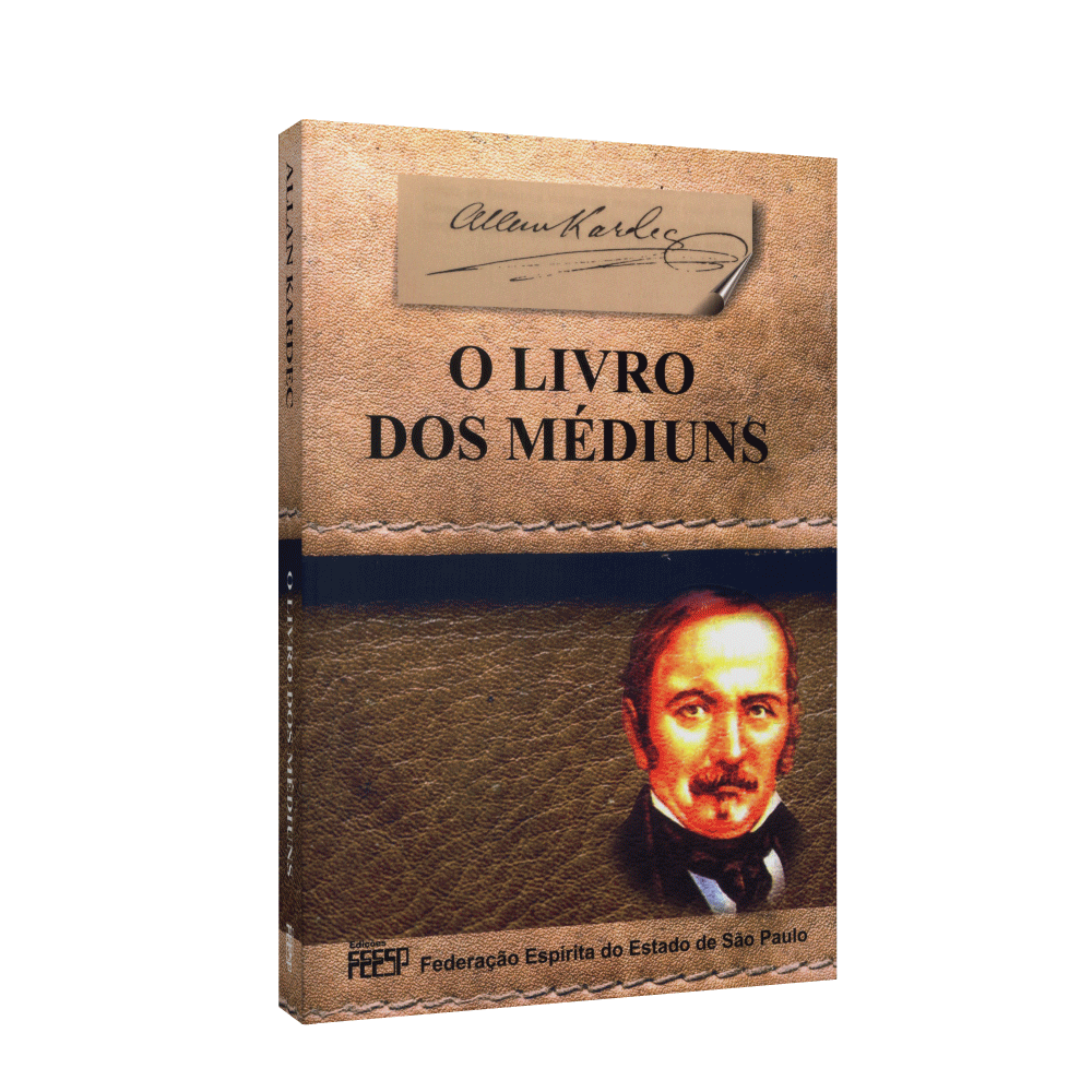 o livro dos médiuns escola da vida maior